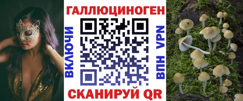 Псилоцибиновые грибы ЛСД  Будённовск 