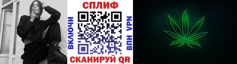 Бошки марихуана марихуана  купить  цена  Будённовск 